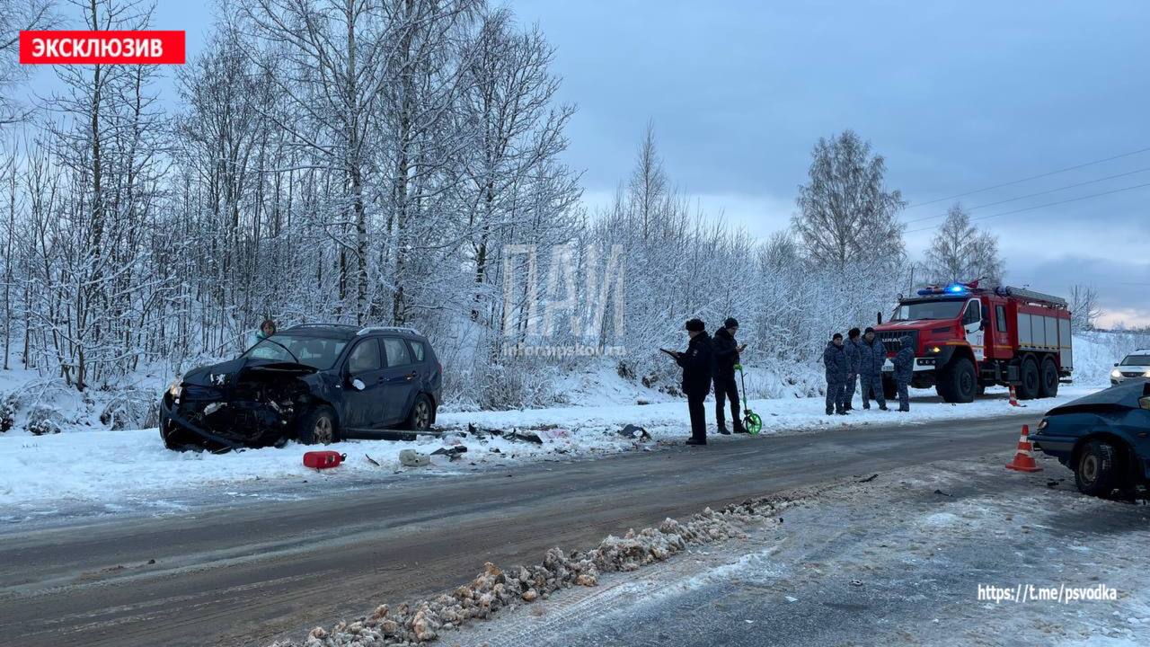 Два человека пострадали в результате ДТП в Пушкиногорском районе