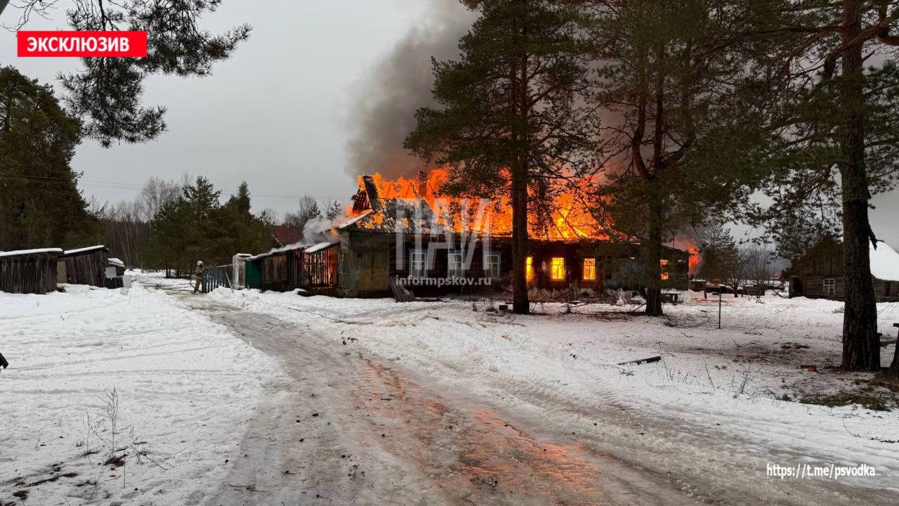 Пожар в Плюсском районе
