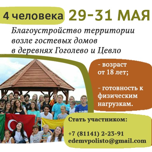 Волонтёрские программы