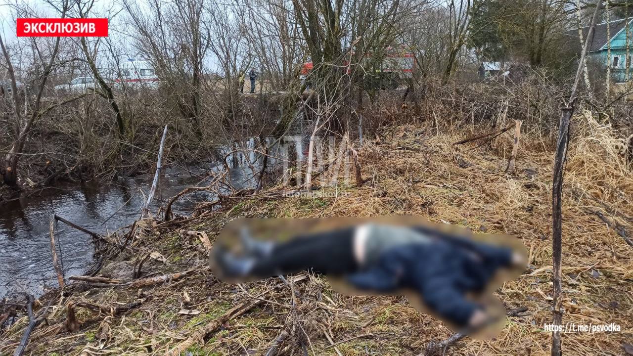 Тело женщины обнаружили в канаве на окраине Дно