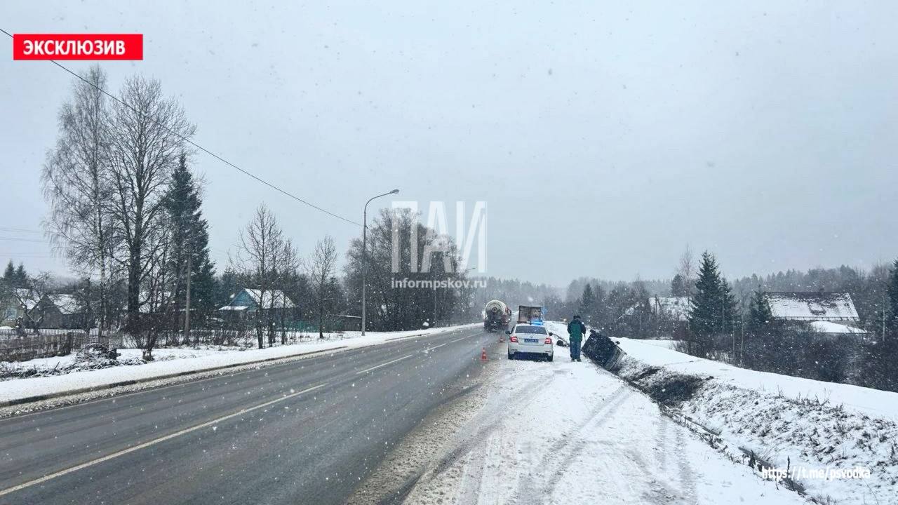 Микроавтобус вылетел в кювет на трассе Санкт-Петербург – Невель