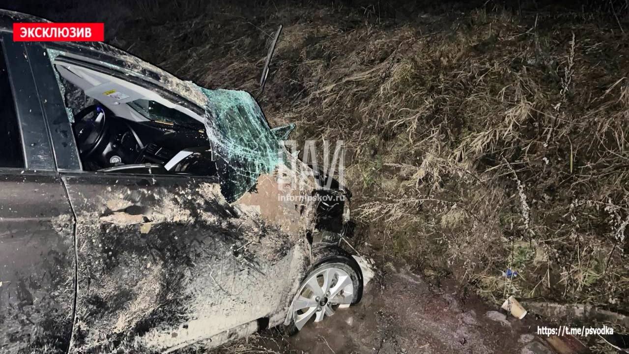 Двое детей пострадали после съезда автомобиля в кювет в Дедовичском районе   