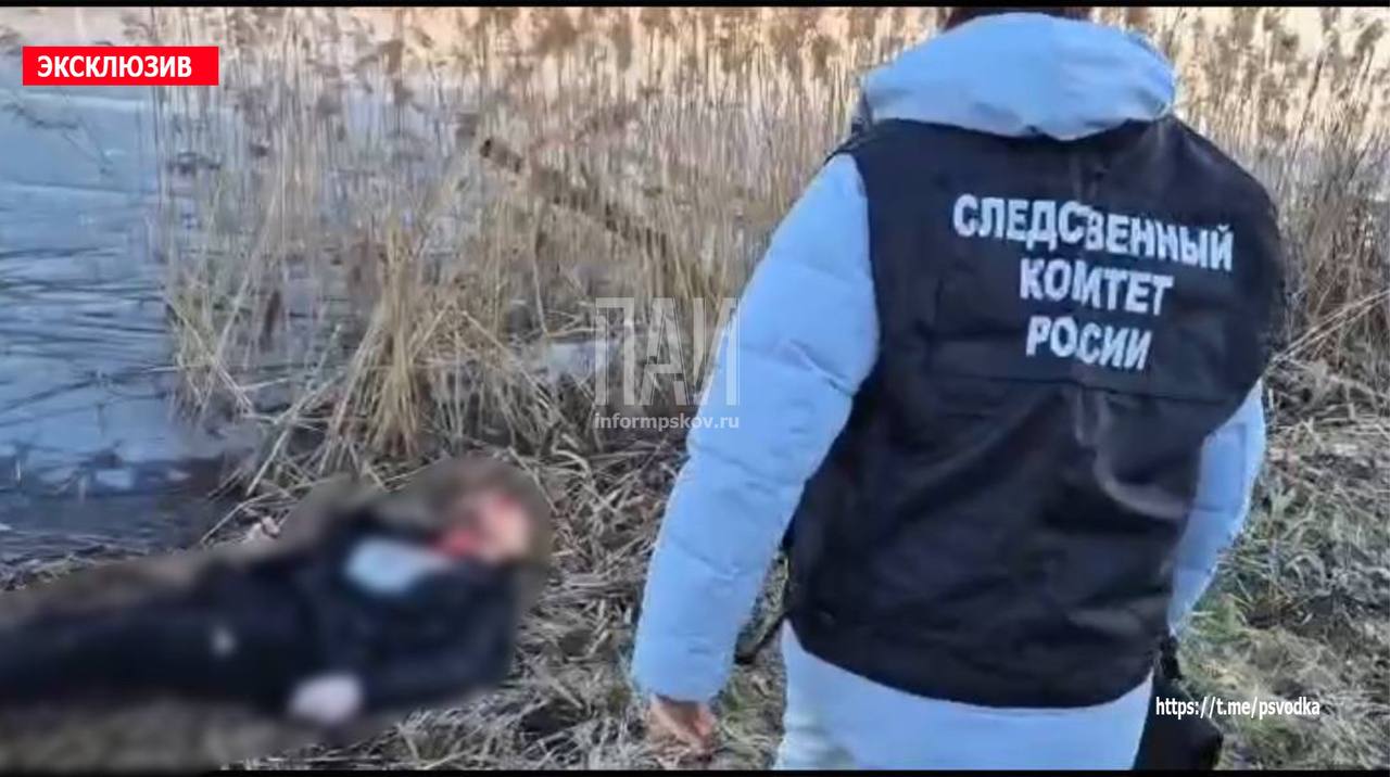 Происшествие в Себежском районе