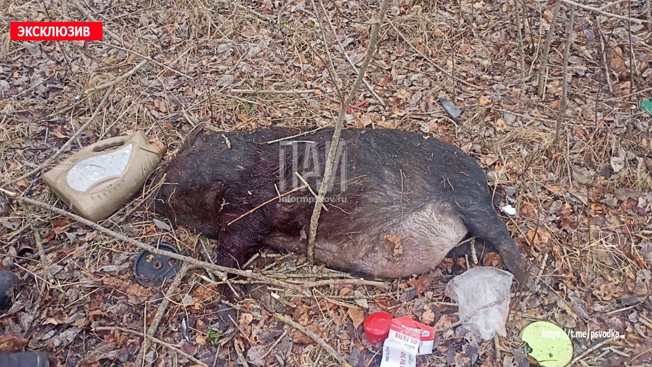 ДТП в Локнянском округе 