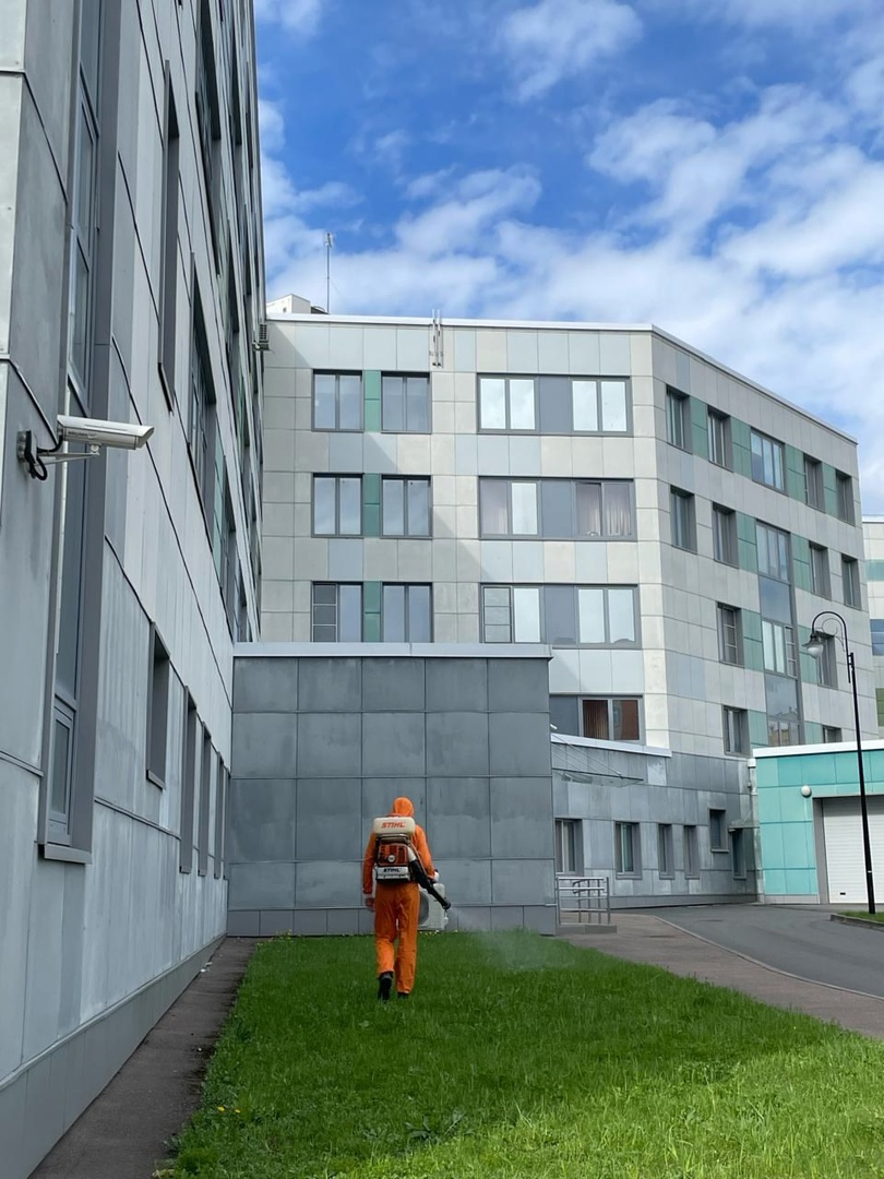 Противоклещевую обработку провели на территориях Псковского перинатального центра