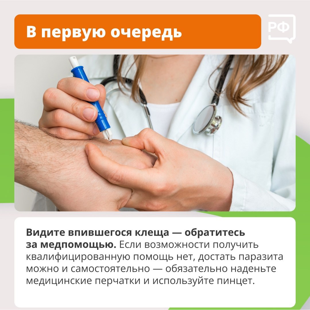 Что делать при укусе клеща