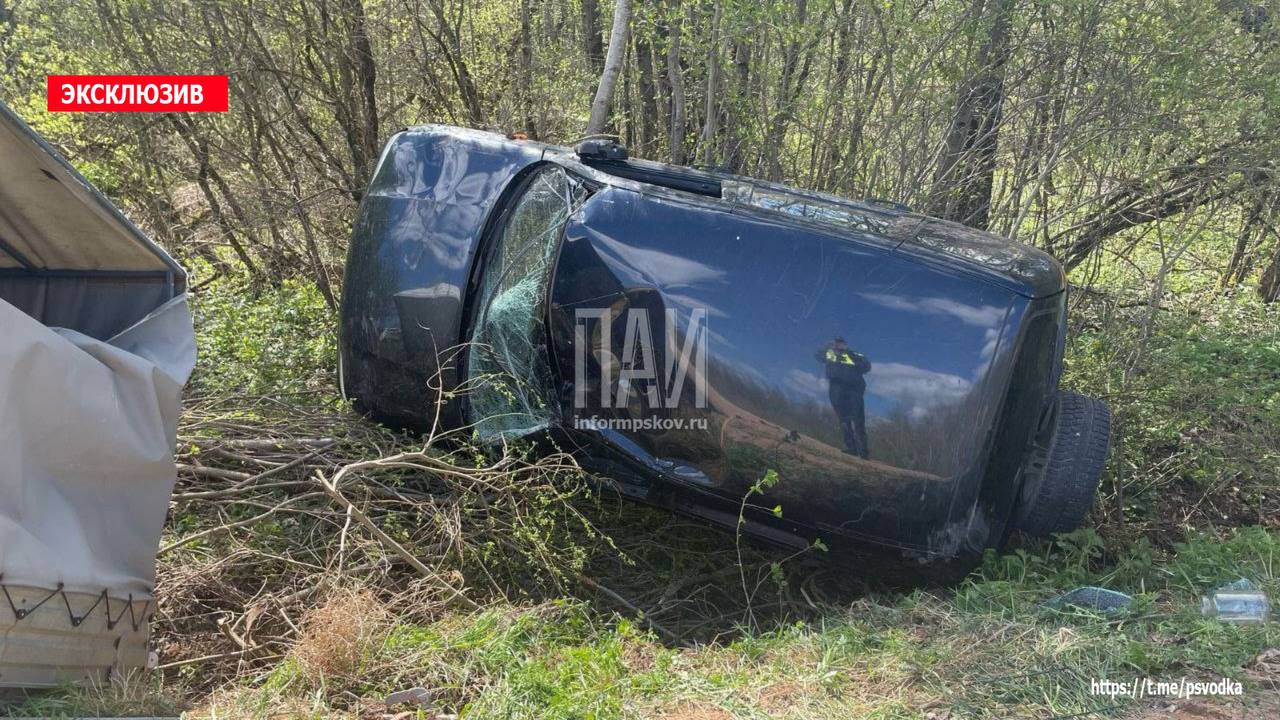 Водитель пострадал при опрокидывании автомобиля в Дедовичском районе
