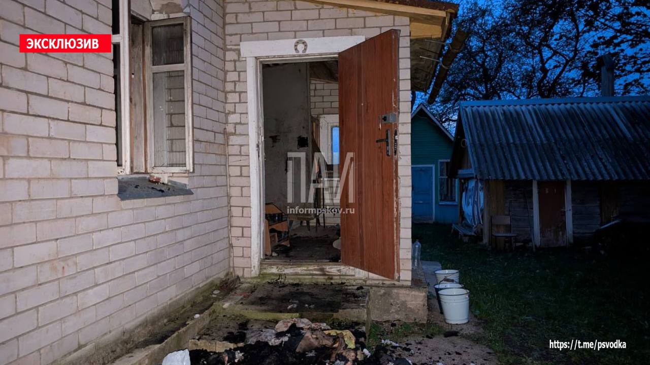 Гость из Москвы погиб при пожаре в новоржевской деревне