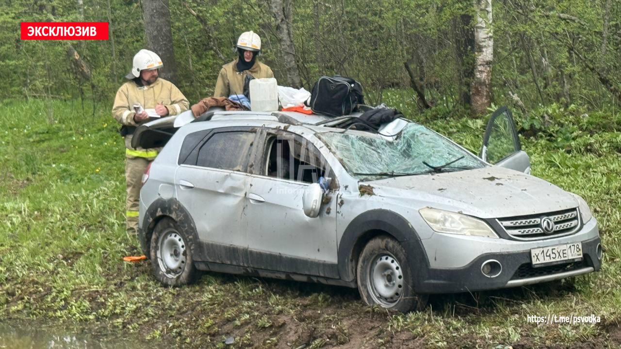 Автомобиль вылетел в кювет на трассе в Плюсском районе