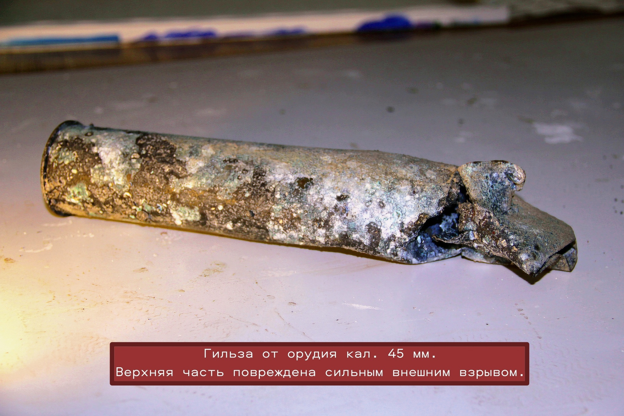 Поисковики рассказали, что скрывают завалы взорванного дота в Себежском районе