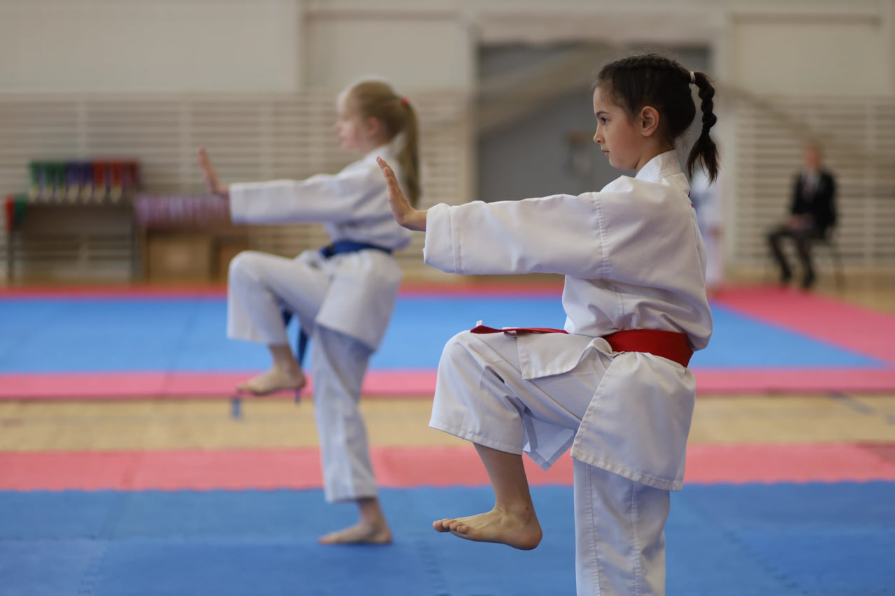 Подведены итоги Кубка Пскова по карате WKF