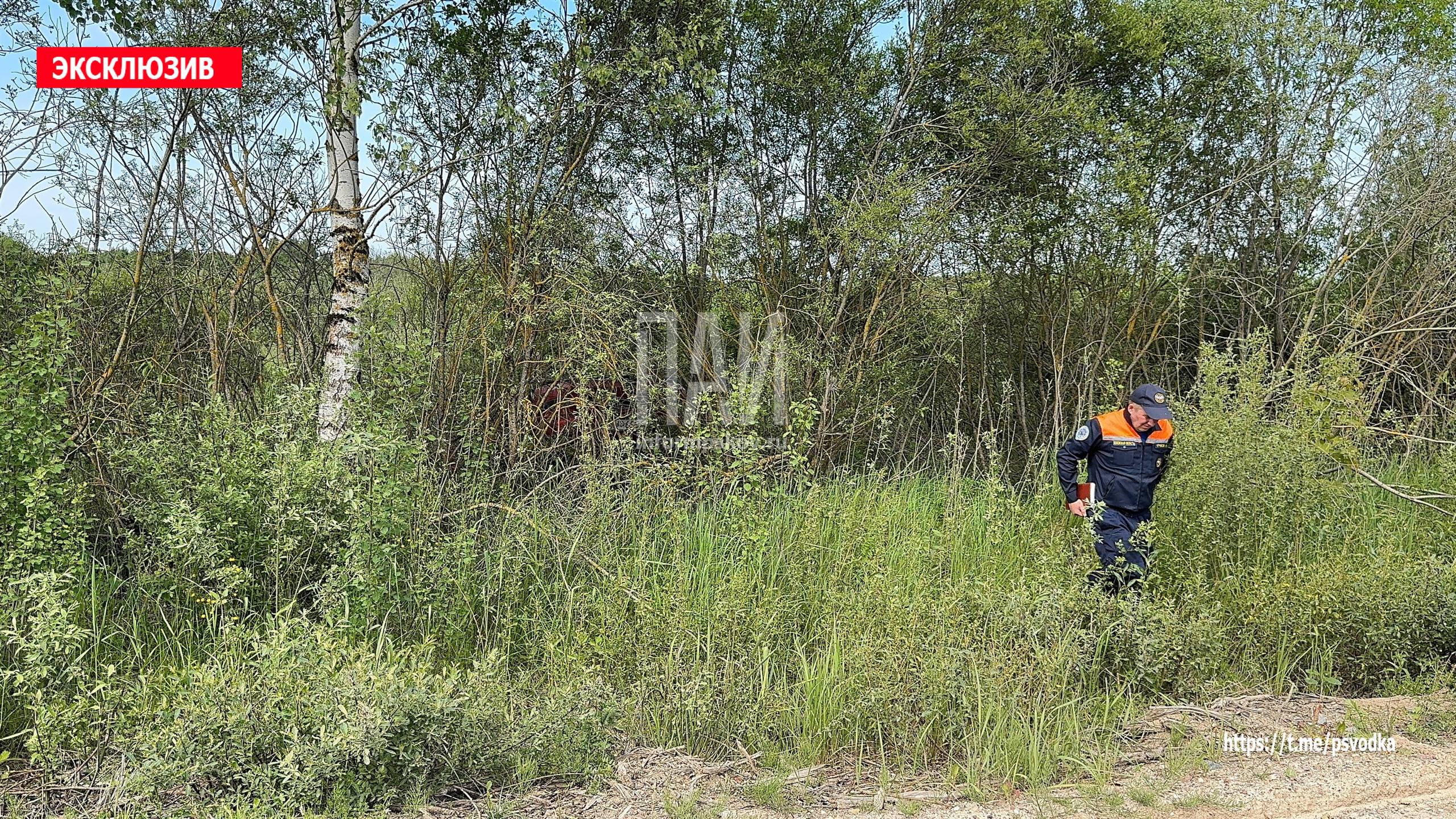 Автомобиль с погибшим водителем обнаружен в Псковском районе