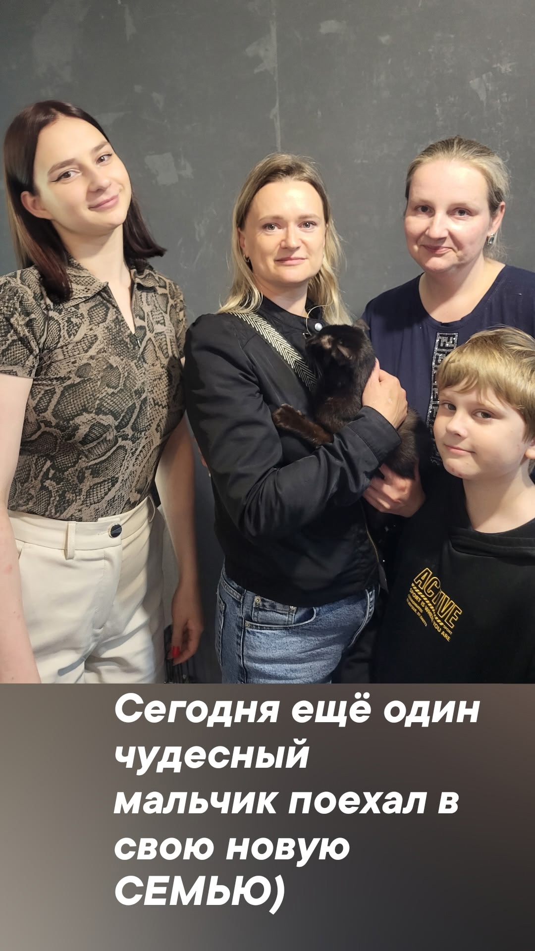 Ещё 13 спасённых из запертой квартиры котов обрели новый дом  