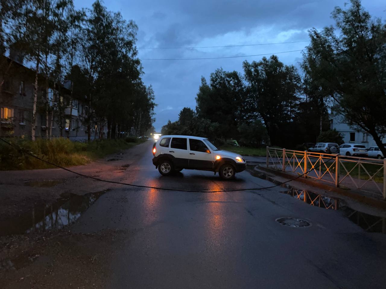 В Острове упавшее дерево оборвало электрокабель