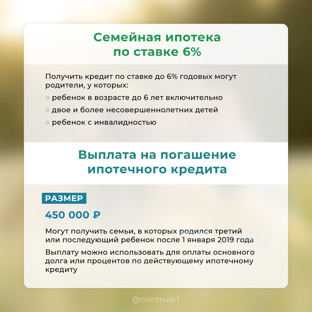 ​О федеральных мерах поддержки для семей и детьми рассказали псковичам