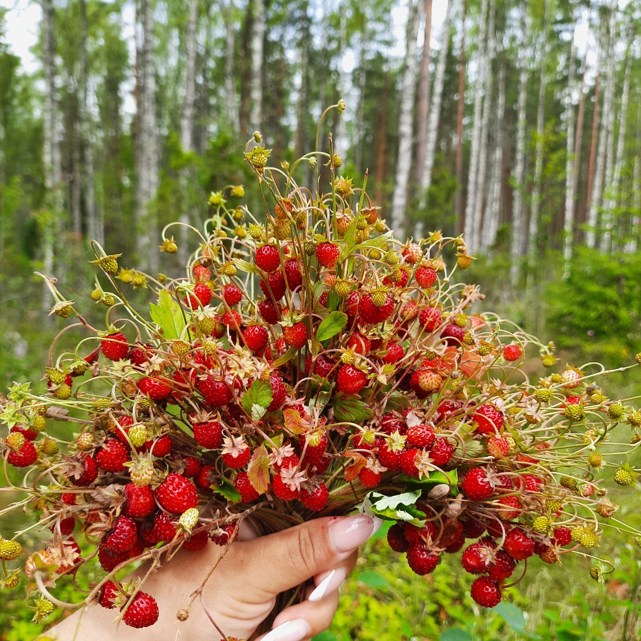 Любимая земляничка и супер букетик