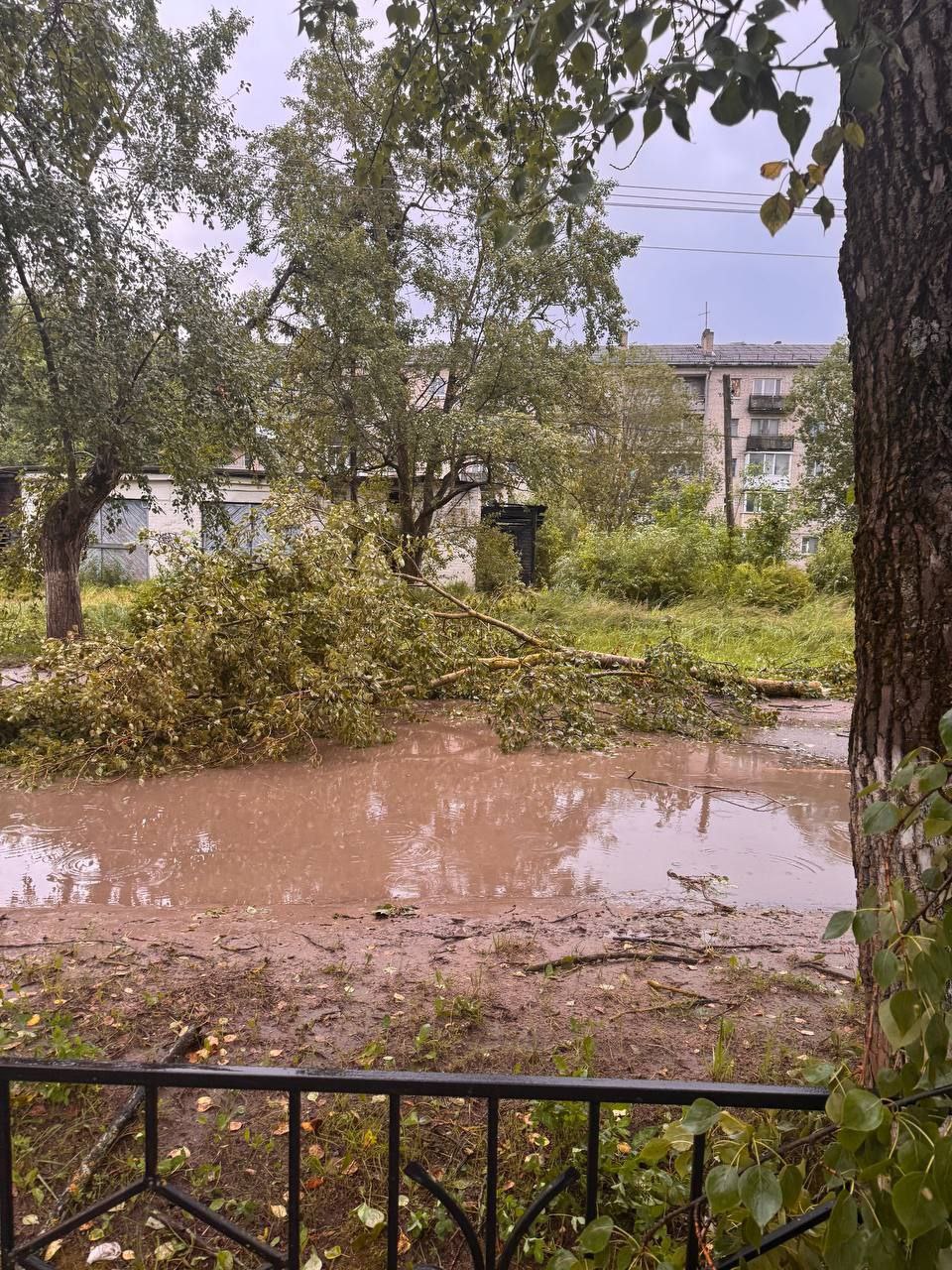 Ураган в Пыталово