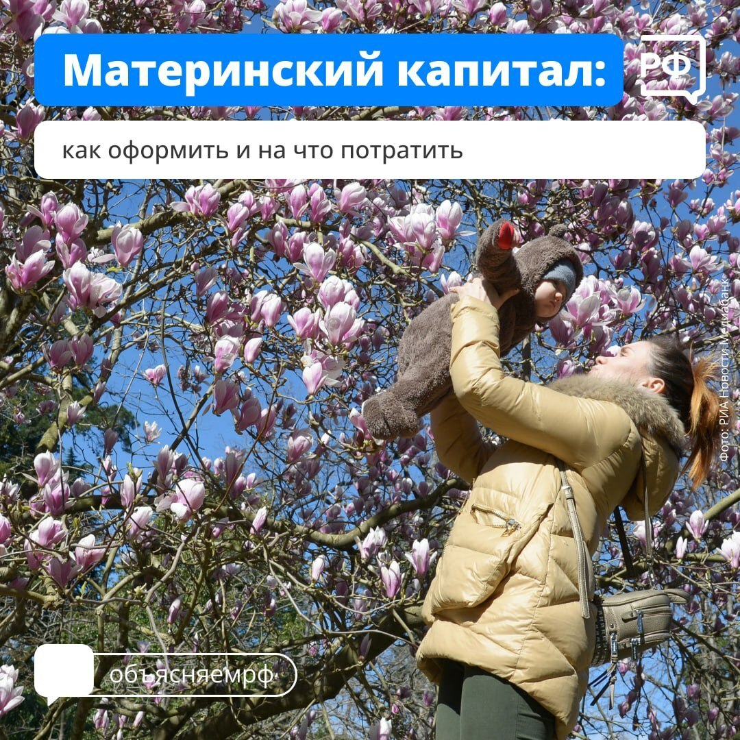Как оформить и на что потратить маткапитал