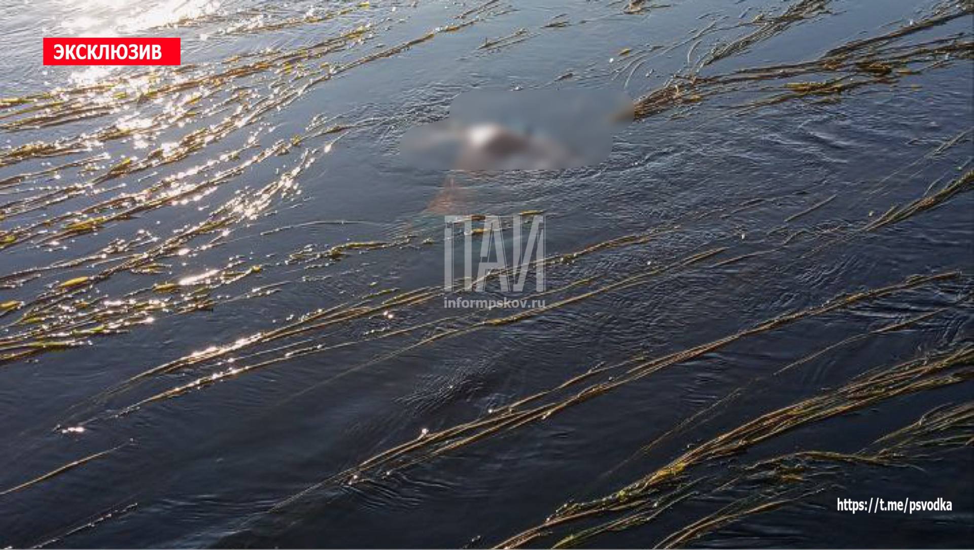 ​В реке Великой в Опочке обнаружено тело утонувшей женщины