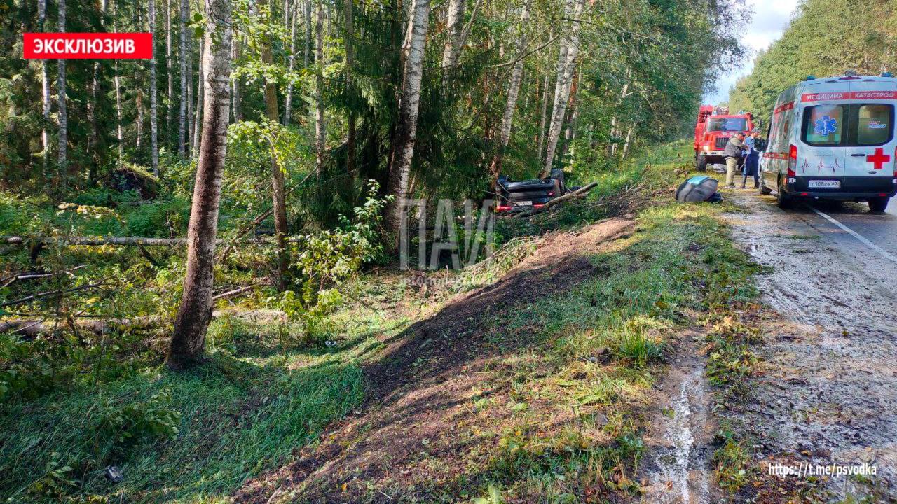 ДТП в Гдовском районе