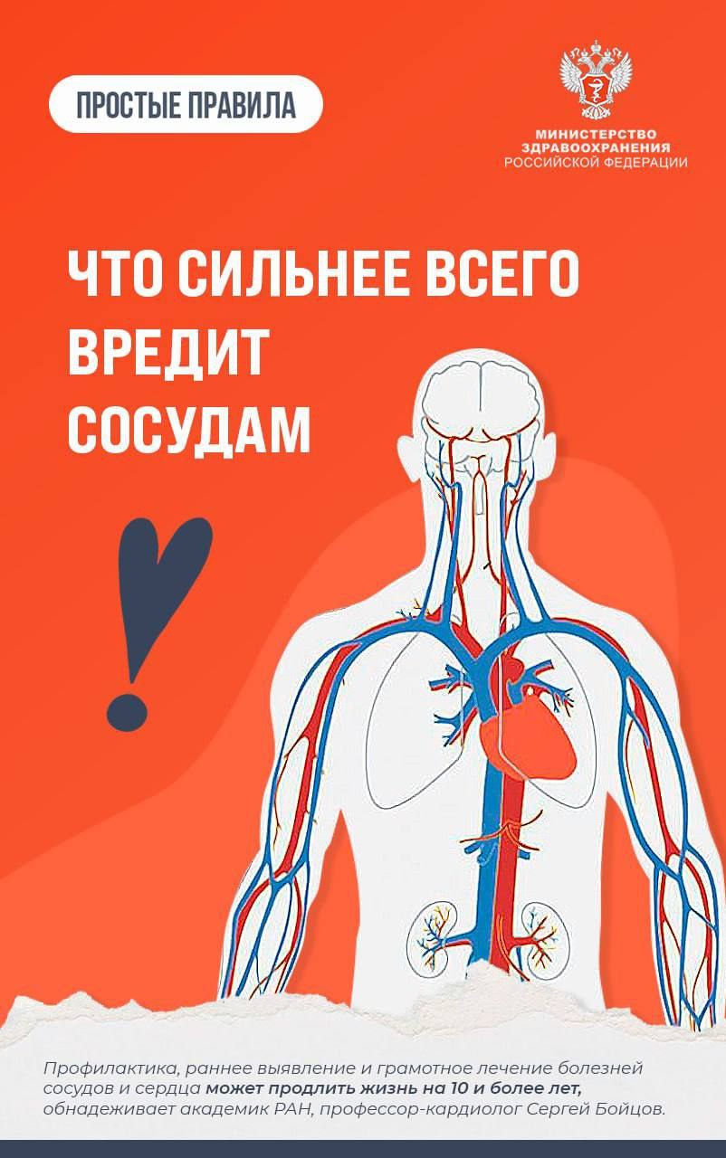 Советы врачей