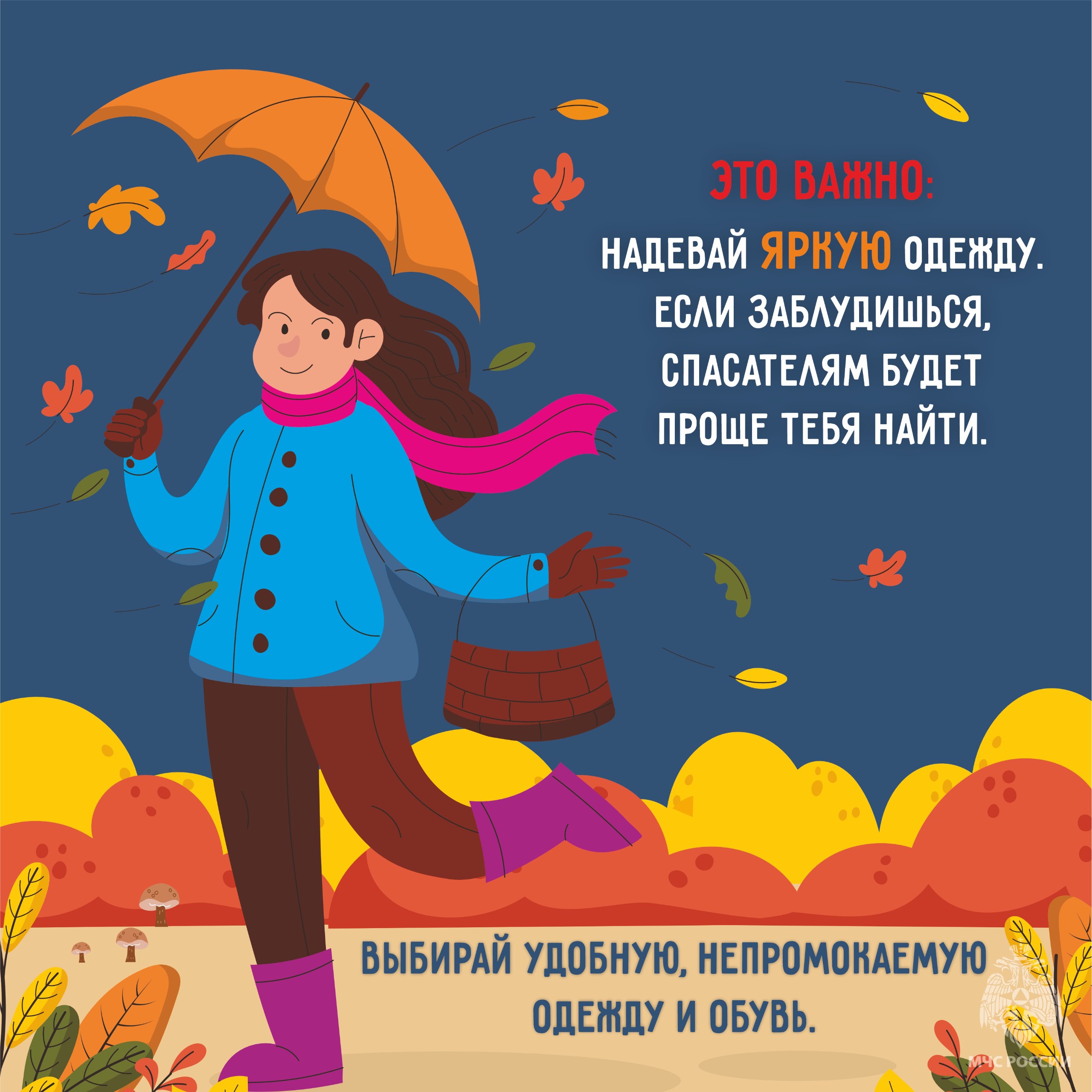 За грибами без потерь: советы МЧС в карточках