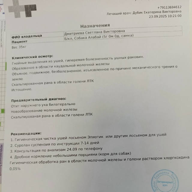 Истощённый алабай