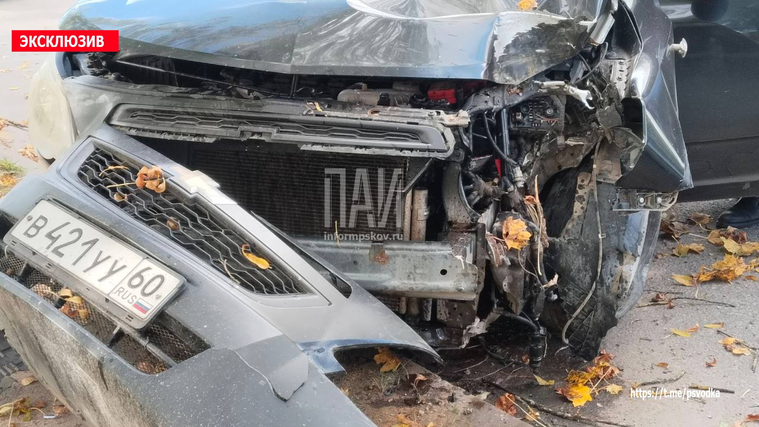 Автомобиль протаранил дерево в Стругах Красных 