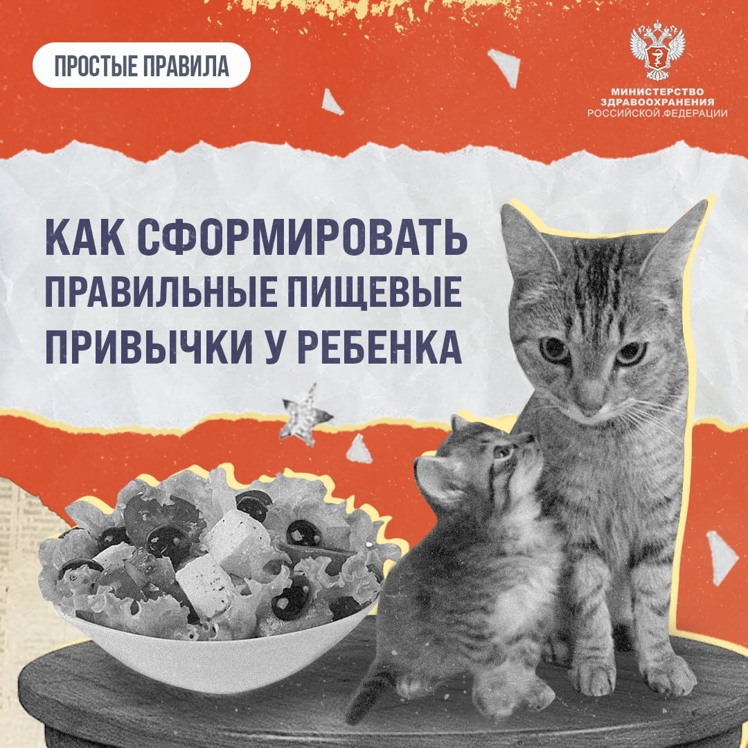Правила питания для детей