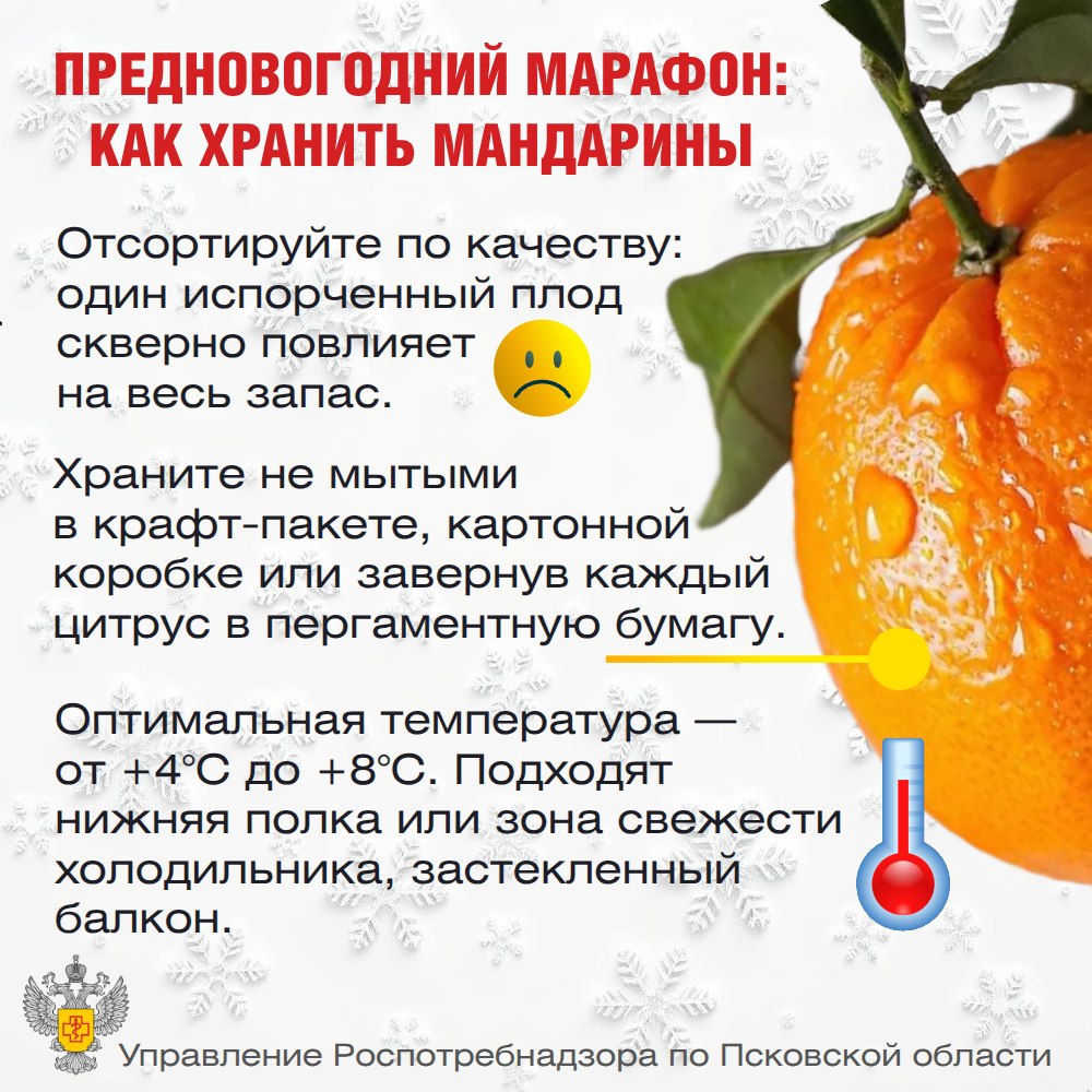 Как выбрать мандарины 