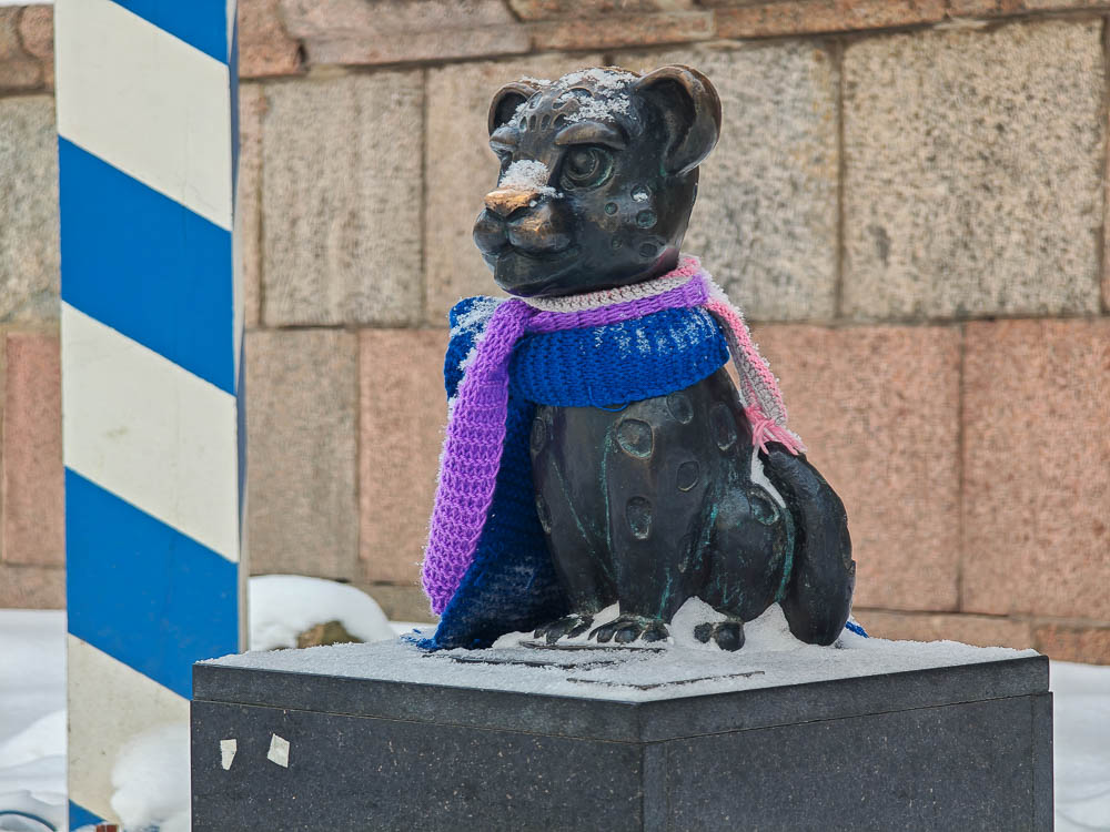 Барсики в центре Пскова