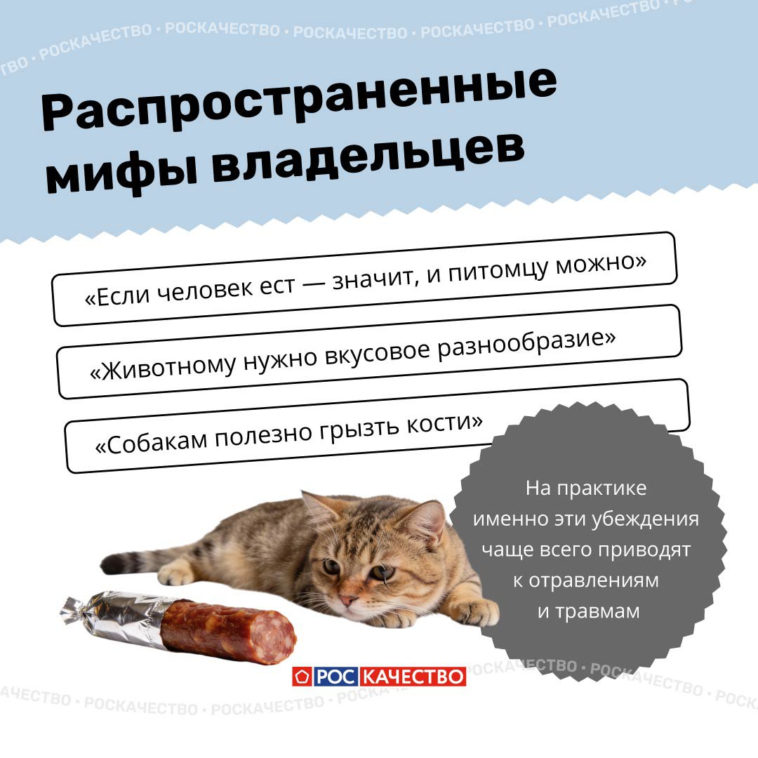 Чем нельзя угощать животных: список опасных продуктов