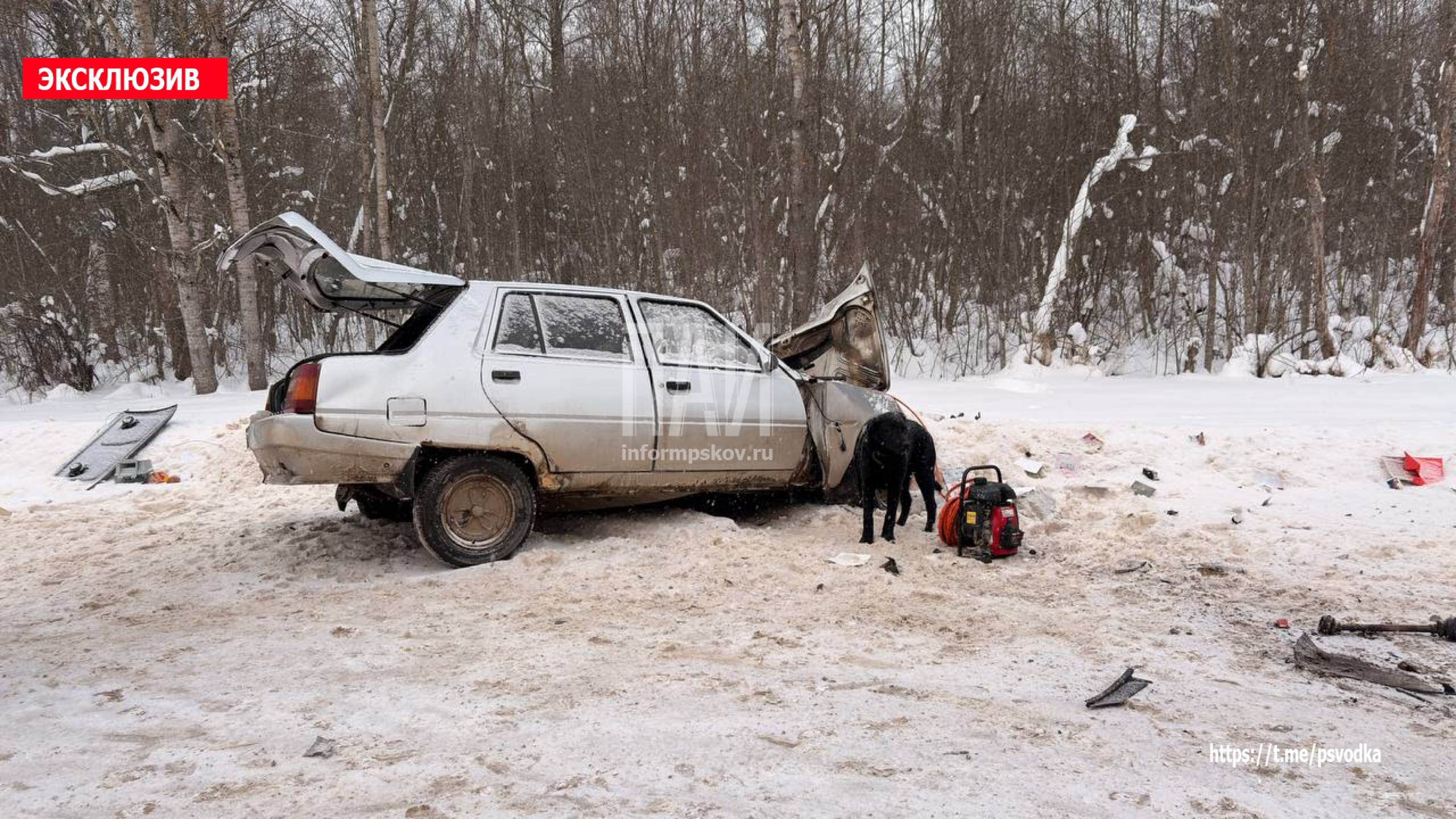 ДТП в Псковской области 