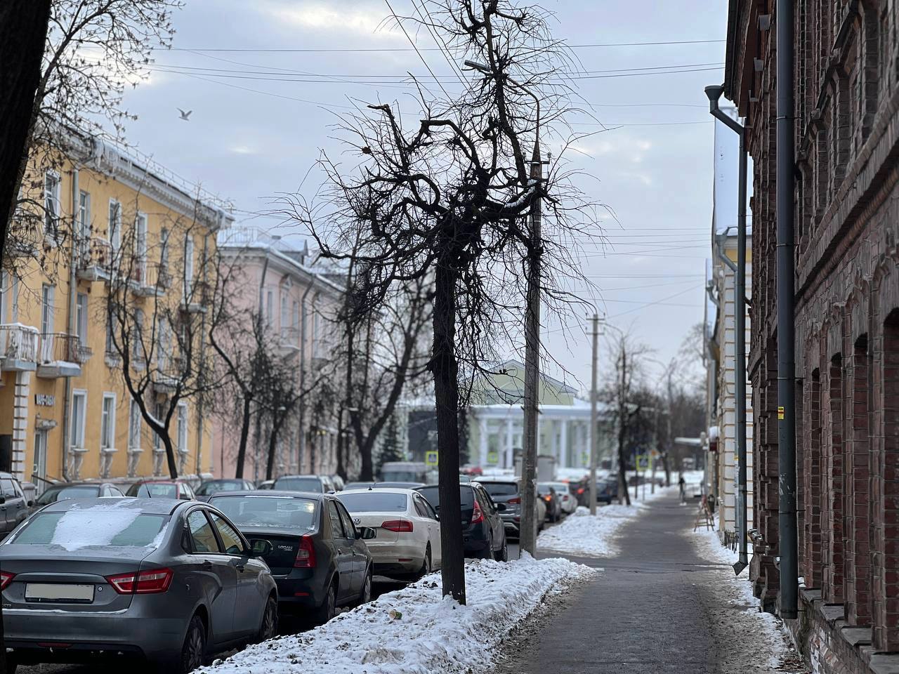 Улица Советская