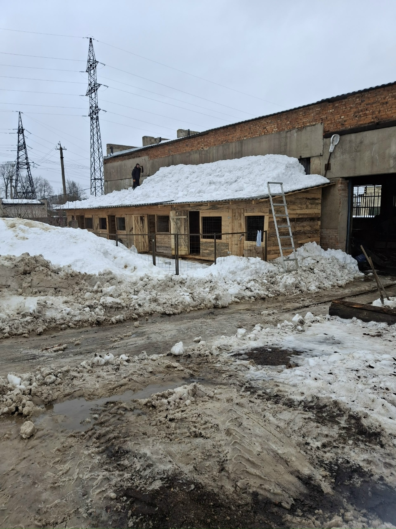 ЧП в приюте 