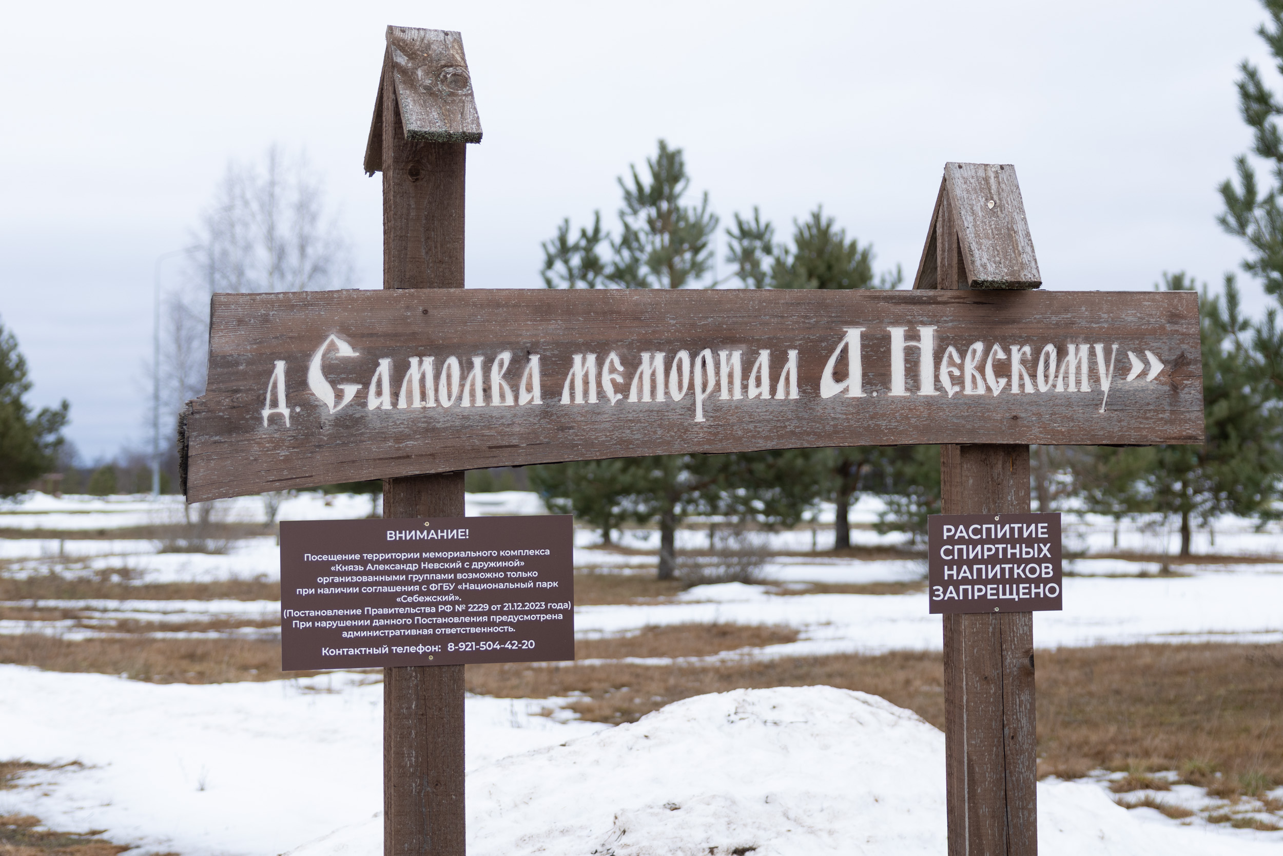 Последний снег у ног князя