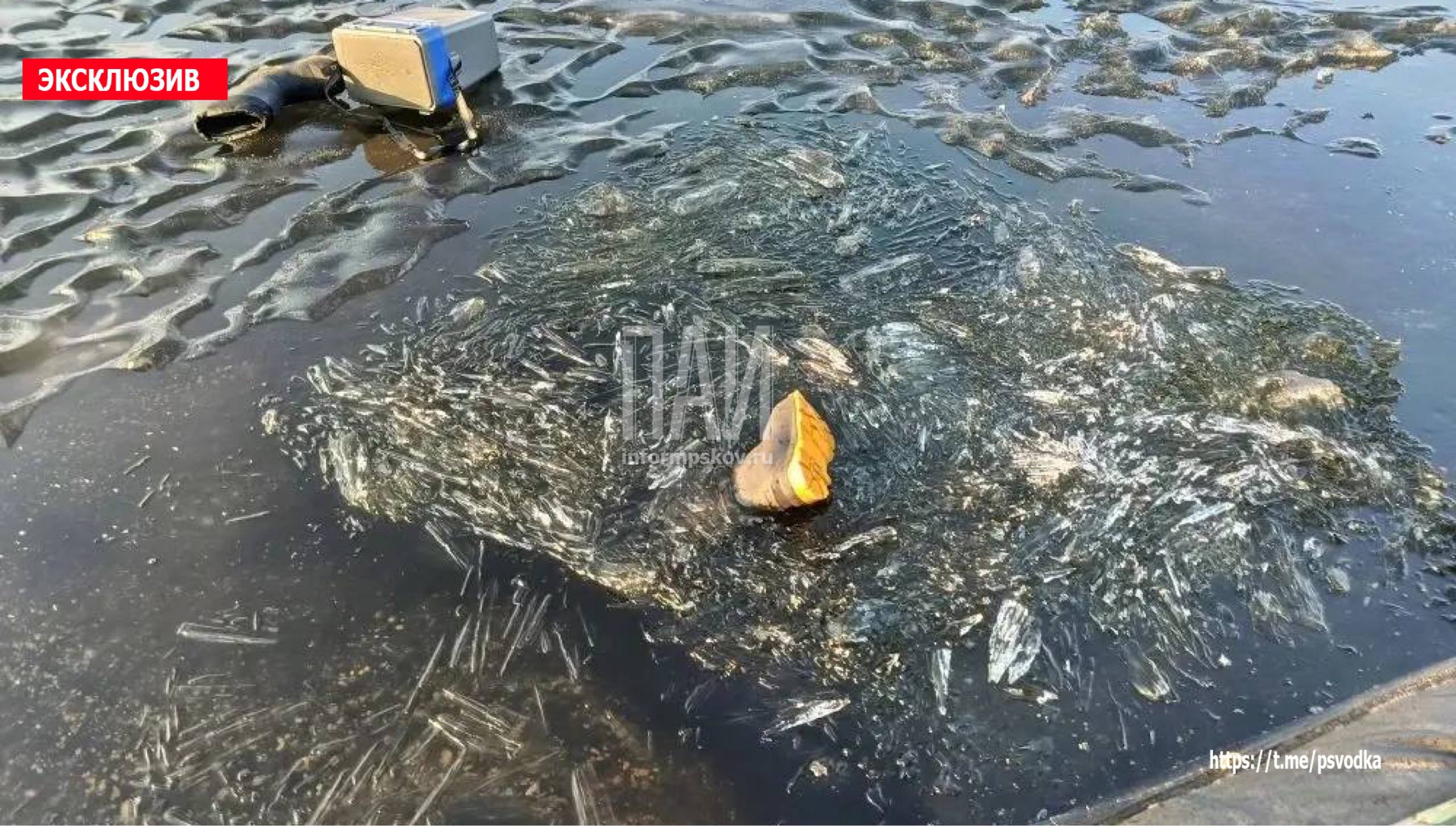 Тело рыбака, провалившегося под лёд, нашли в Гдовском районе
