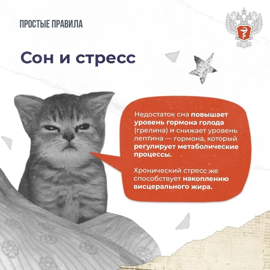 Как похудеть без вреда для здоровья 