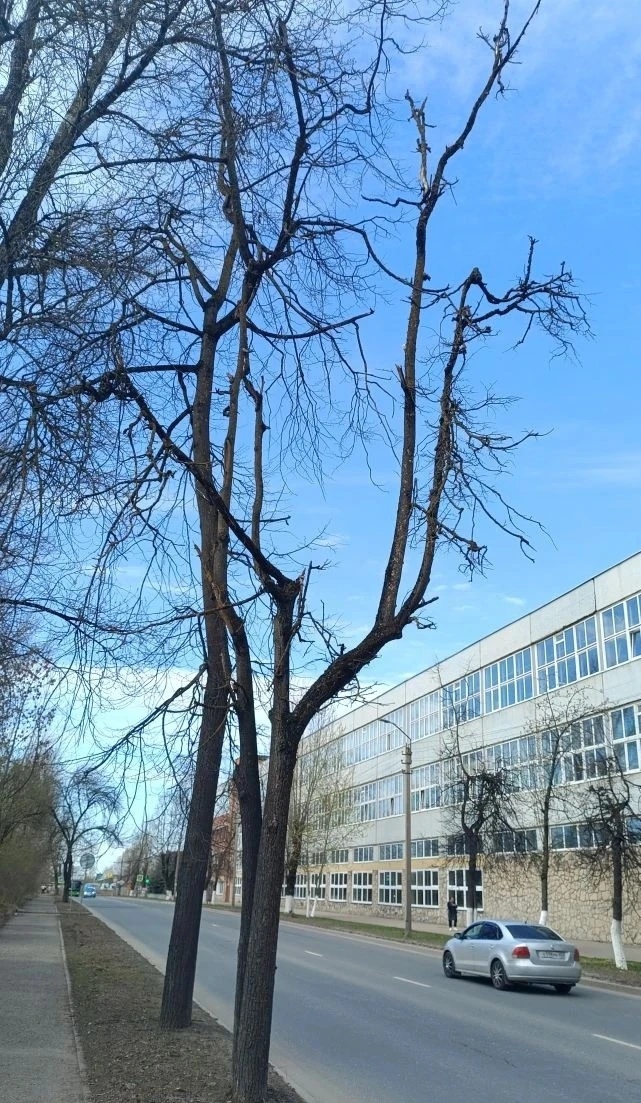 На улице Вокзальной благоустроят тротуары и установят уличное освещение