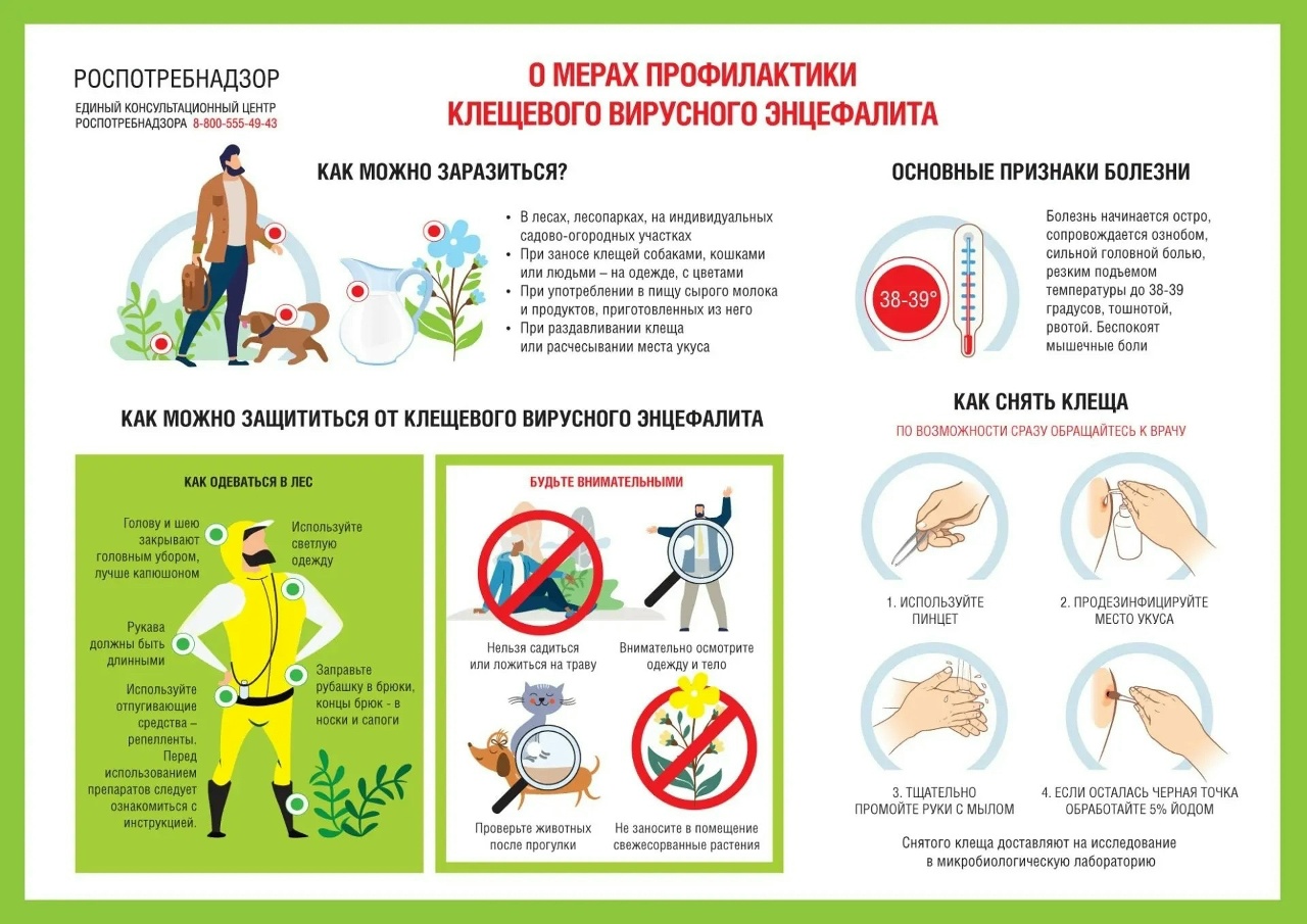 Псковичи смогут получить консультации о клещевых инфекциях по горячей линии