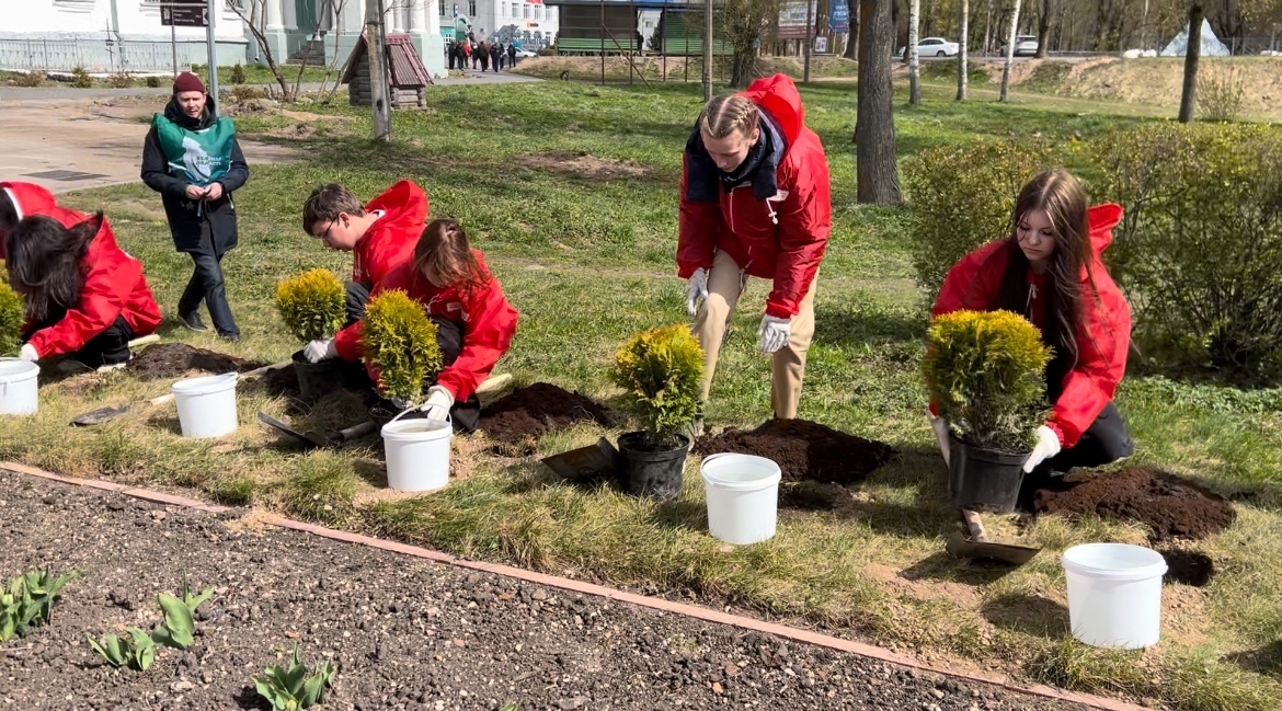 Высадка аллеи в Острове