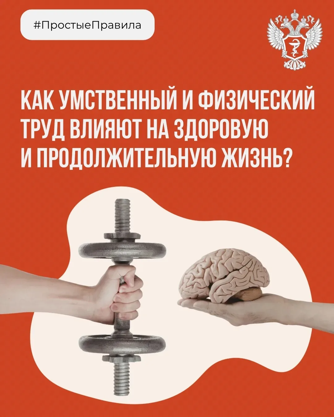 Как умственный и физический труд влияют на долголетие