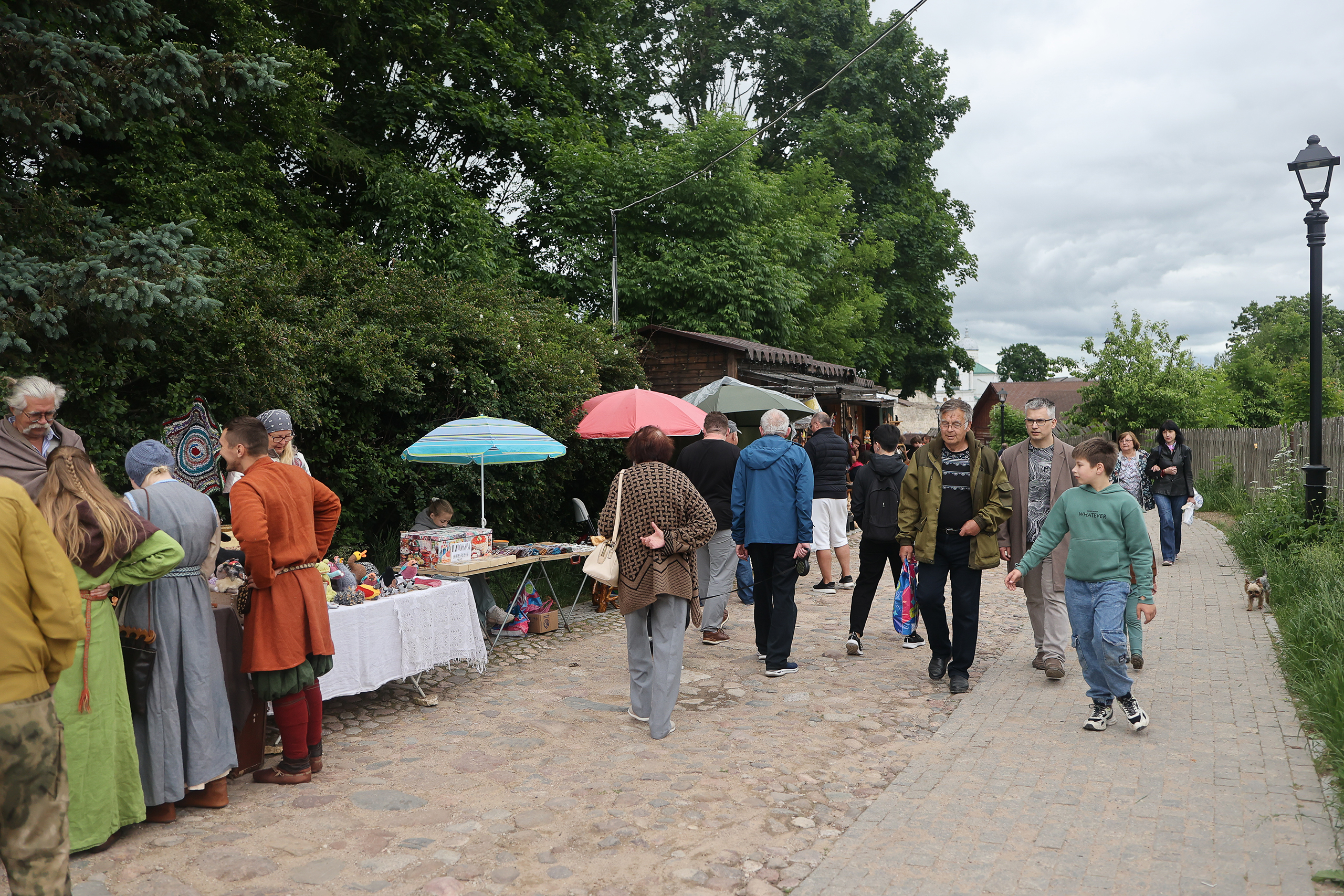 Сталь и ремесло: как в Изборске ожила раннесредневековая культура