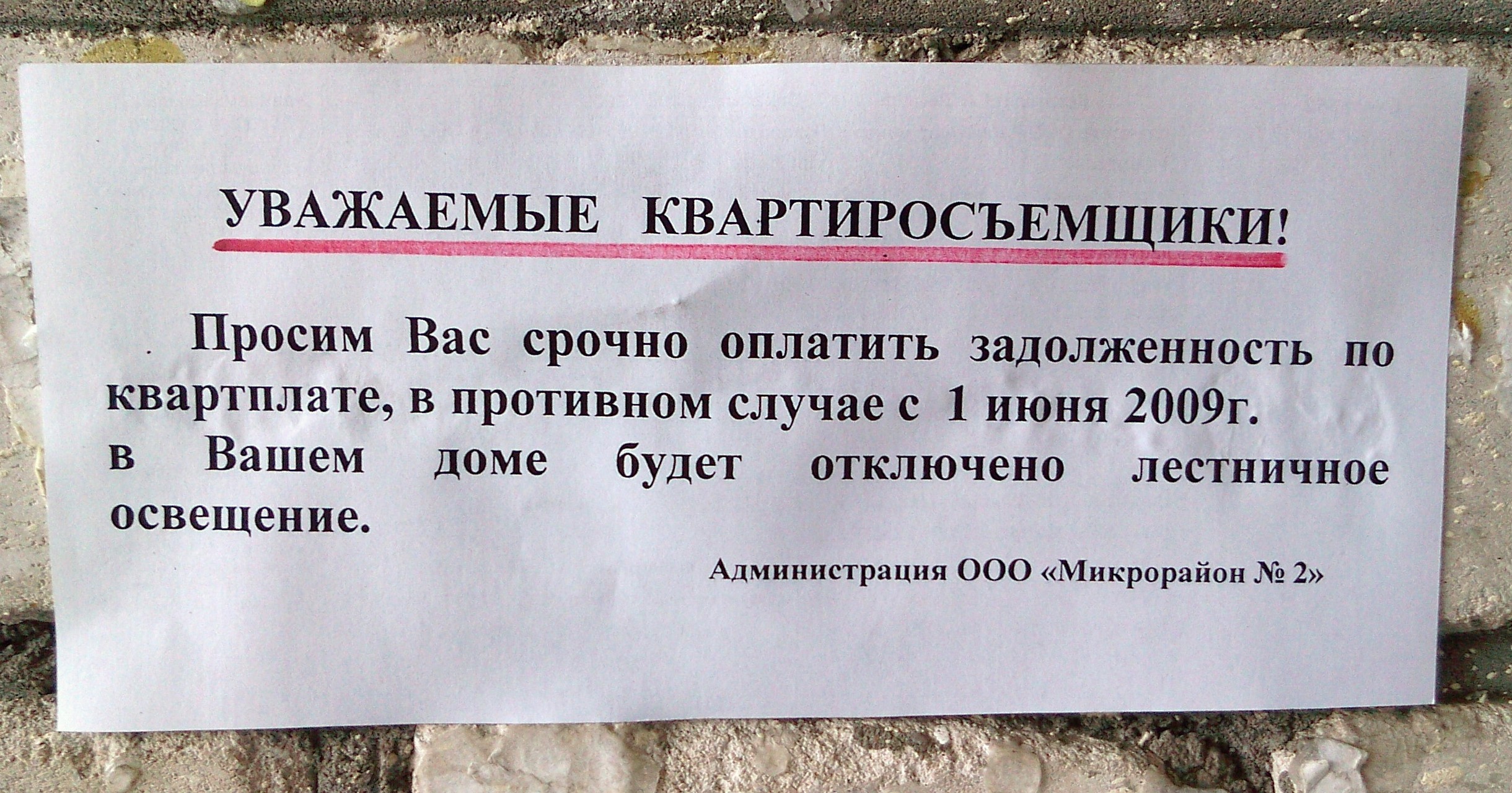 "Ты виноват уж тем, что хочется мне кушать", или МУУМРакам закон не писан? (Фото 2)