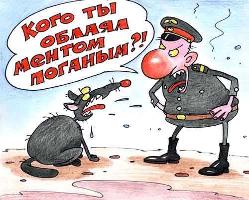Внимание, проверка! (Фото 1)