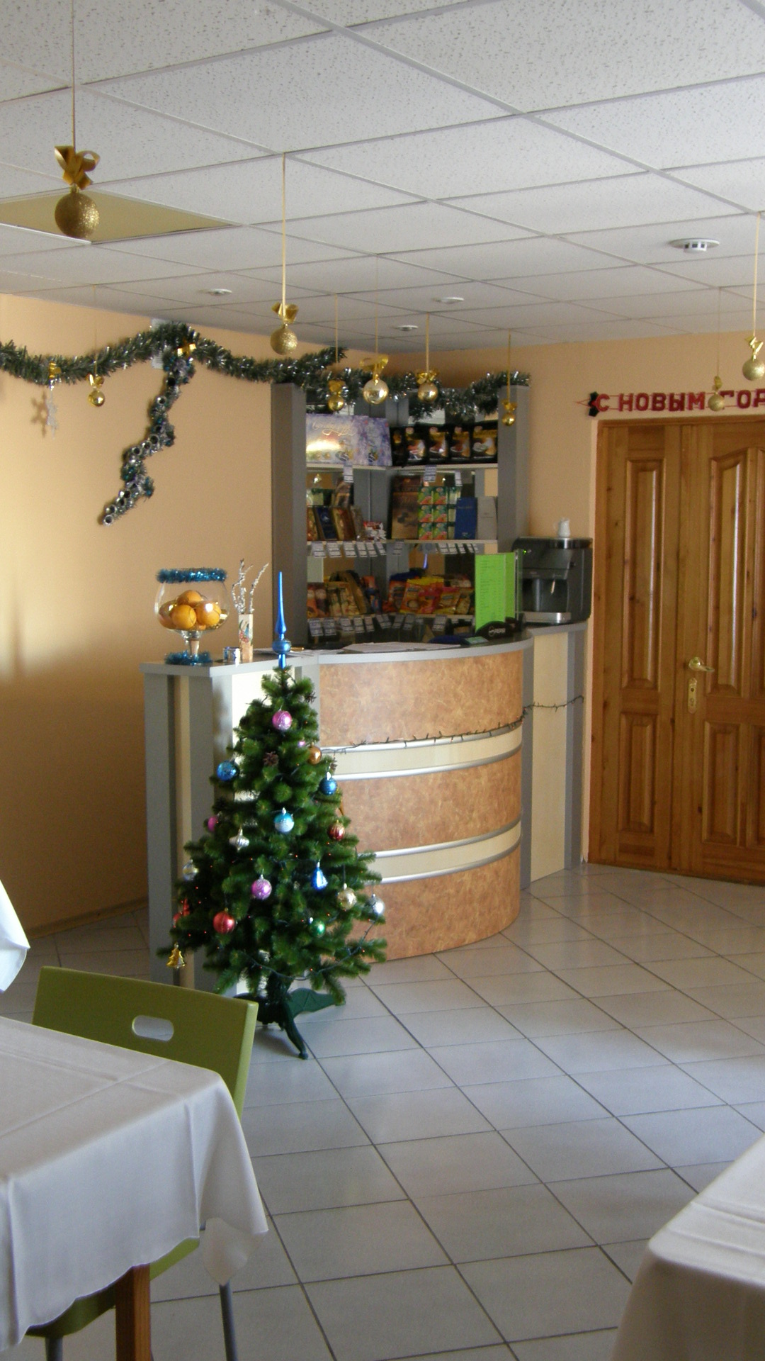 Встречаем Новый 2010 год! (Фото 1)