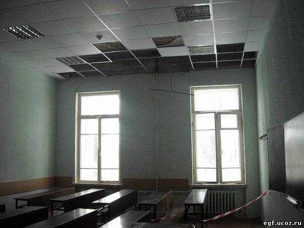 У вас крыша поехала? (Фото 1)