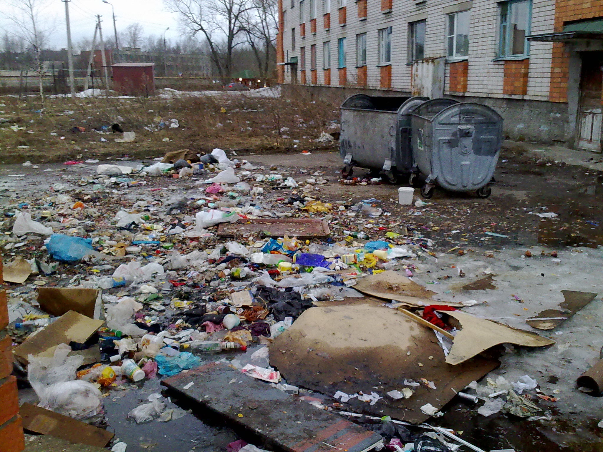 Свалка возле дома. (Фото 1)