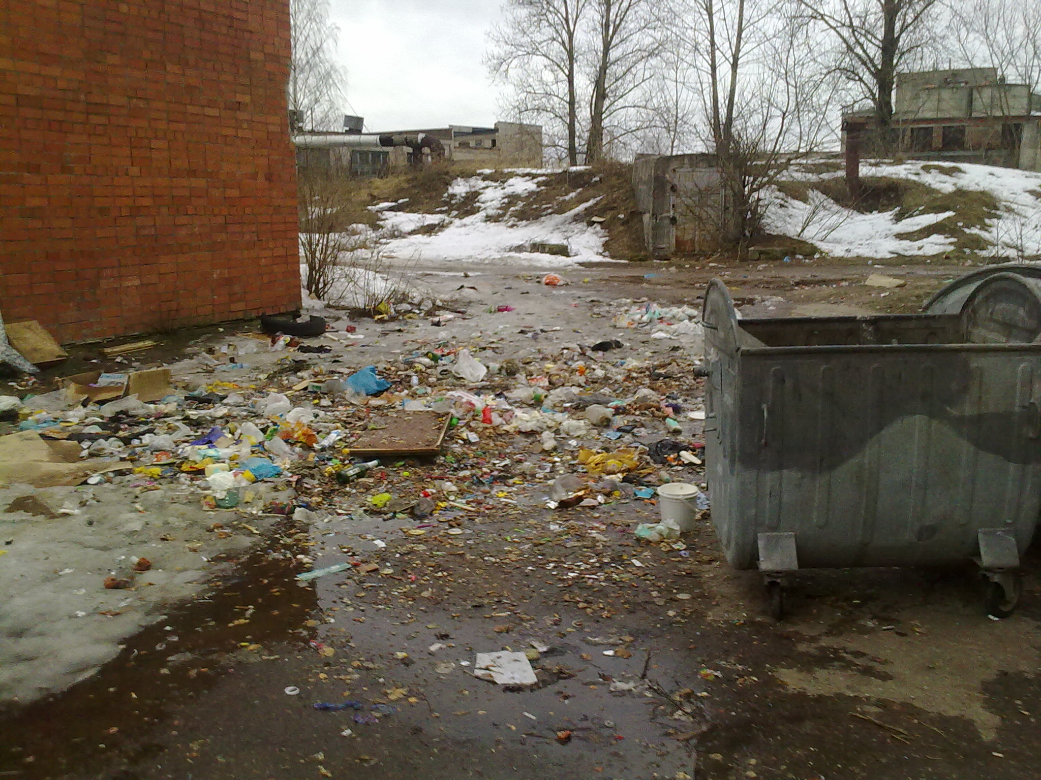 Свалка возле дома. (Фото 2)