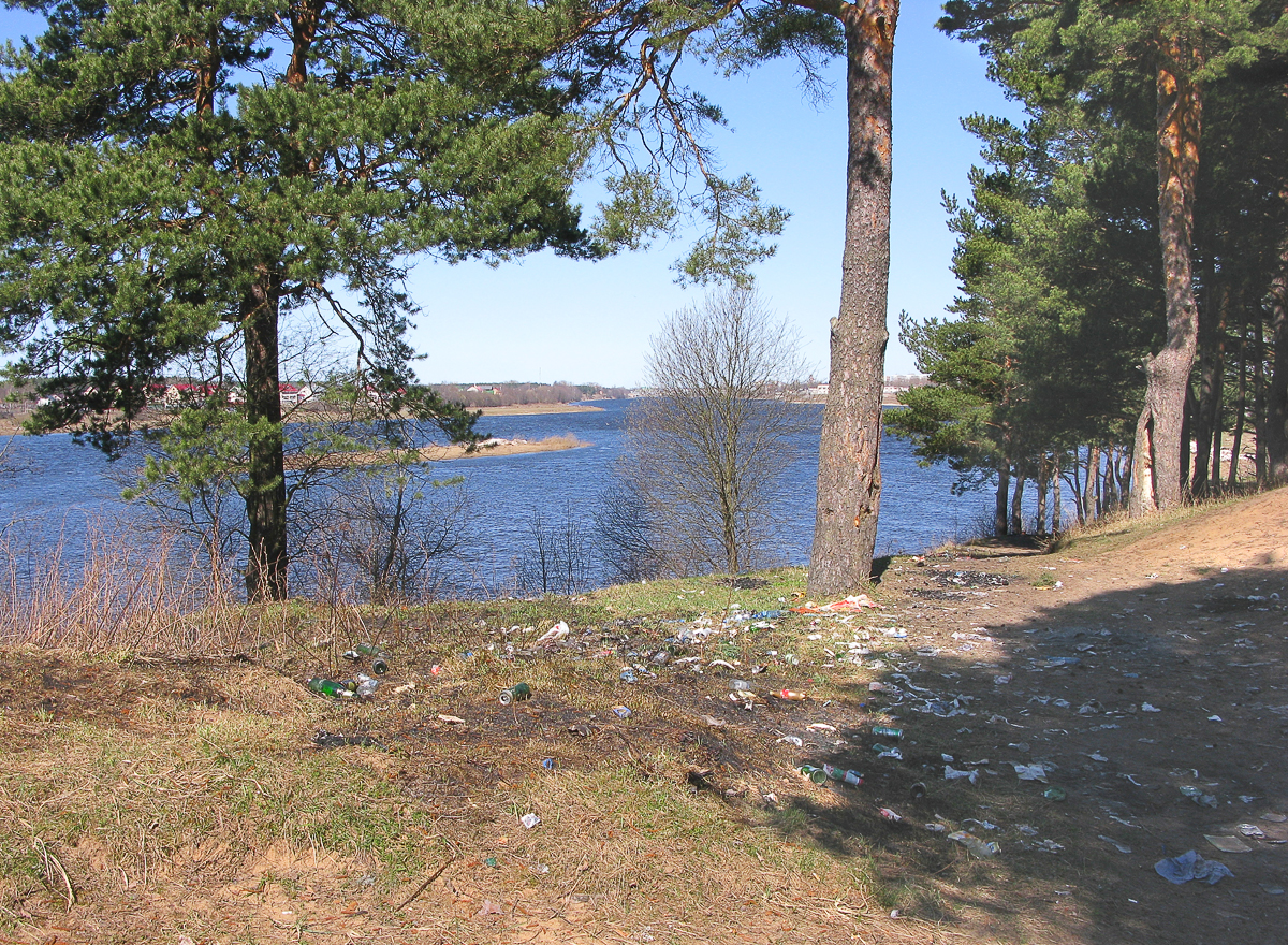 Приезжайте к нам на природу (Фото 1)